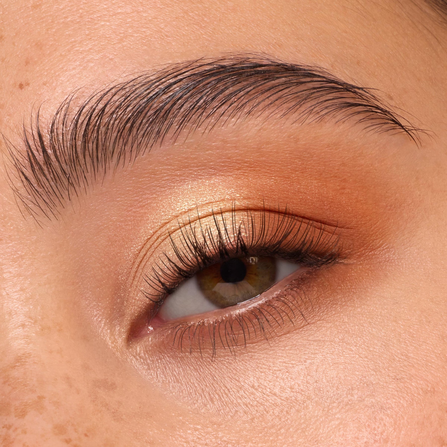 Rainbow Rush - Expressive Contemporary Beauty Discovery