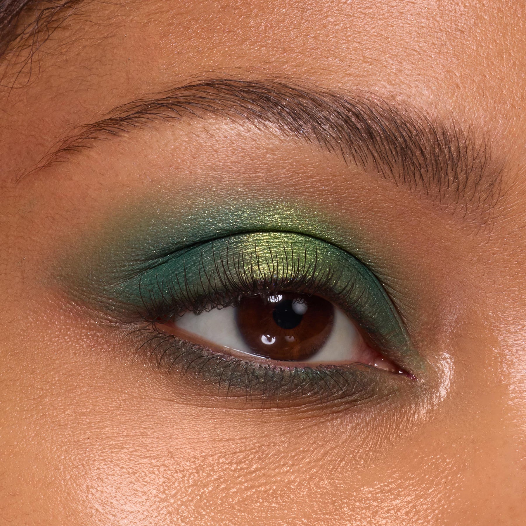 Rainbow Rush - Expressive Contemporary Beauty Discovery
