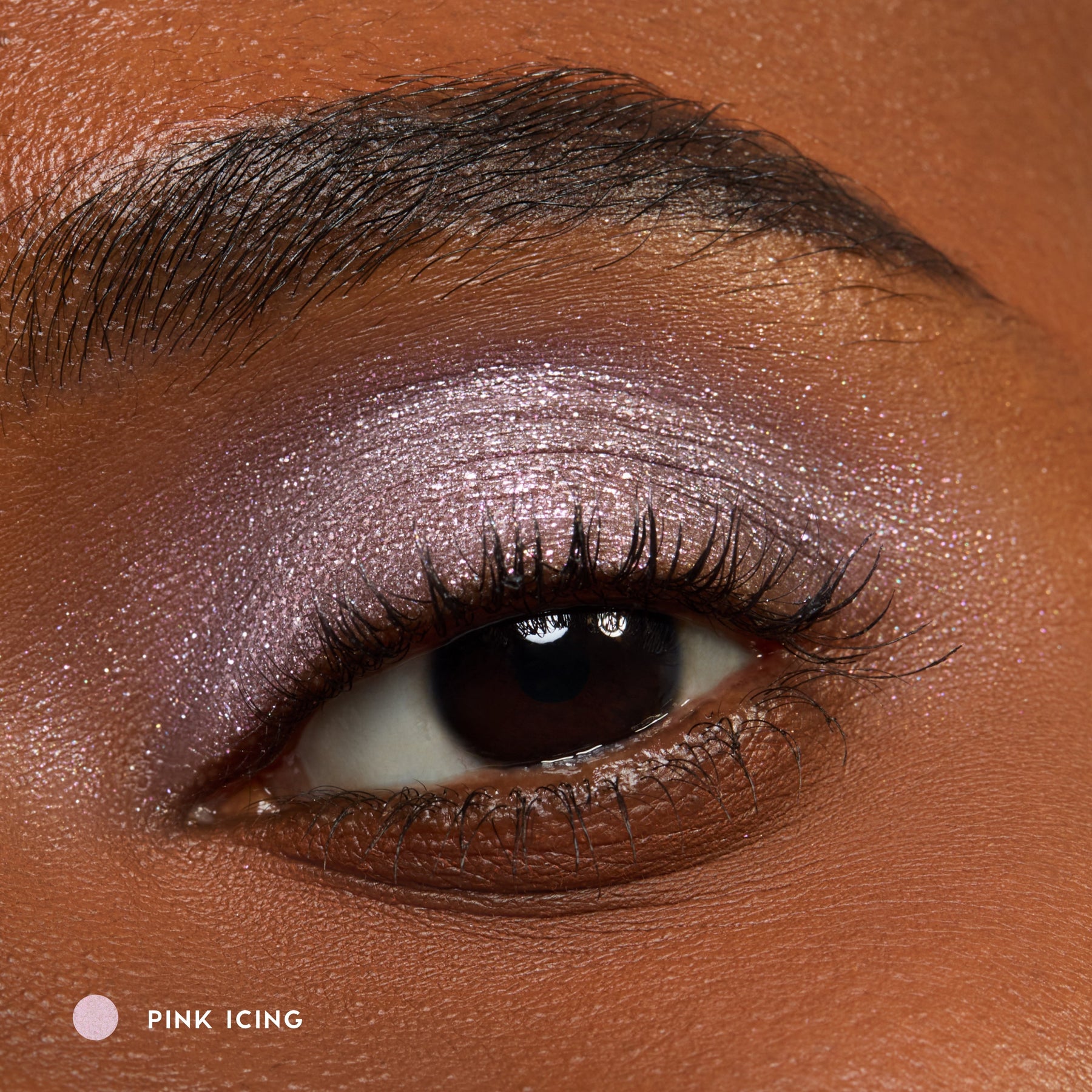 Pink Icing - Pearlescent Elevated Eye Detail