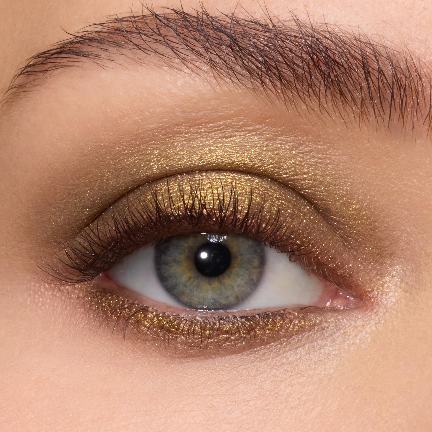 We Won't Bite - Buildable Versatile Eye Edit