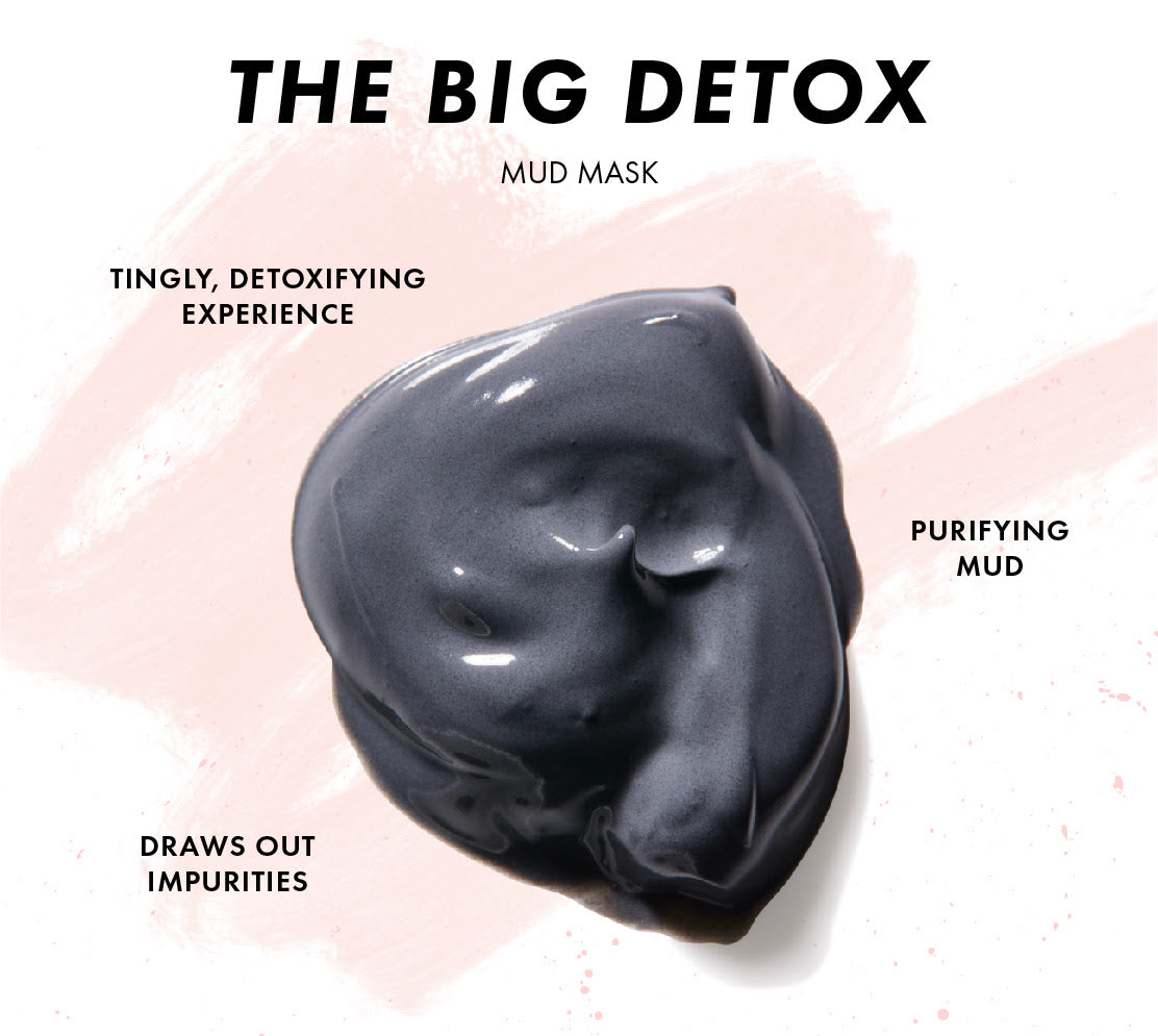 The Big Detox Mud Mask - Gentle Recovery Skin Comfort