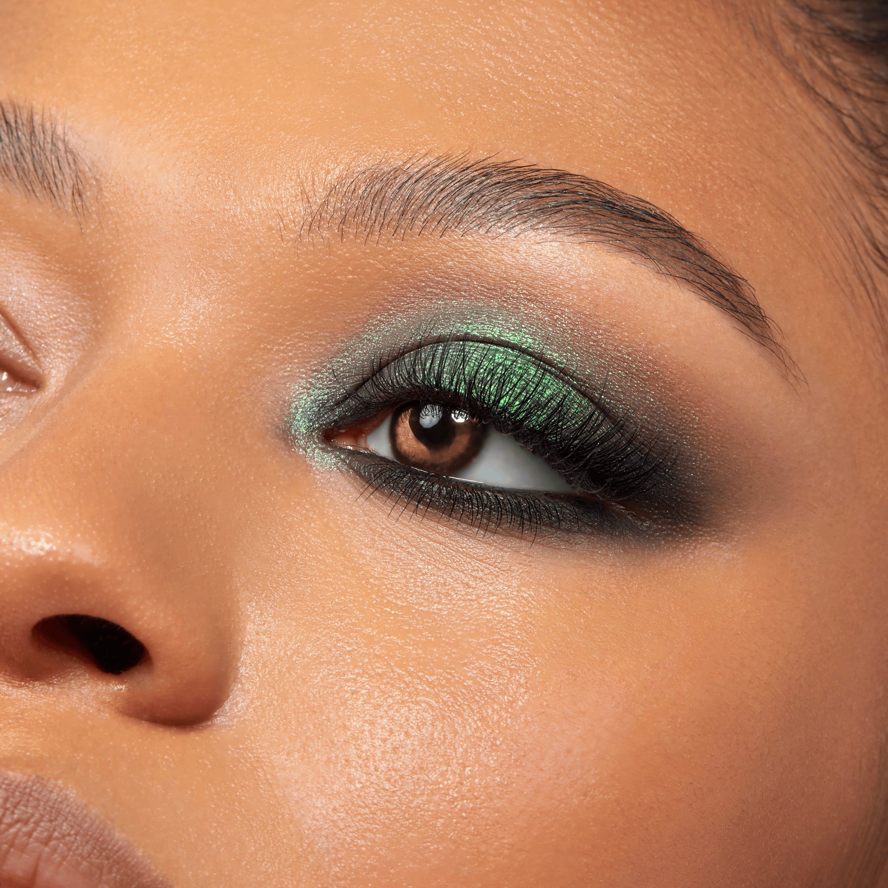 Twilight - Curated Elevated Eye Pick