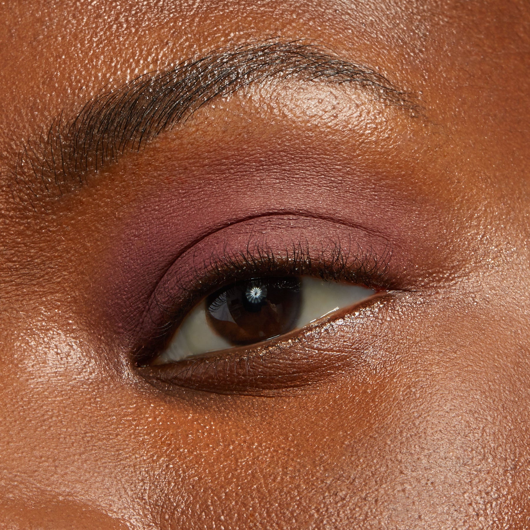 Plum Tart - Matte Refined Eye Selection