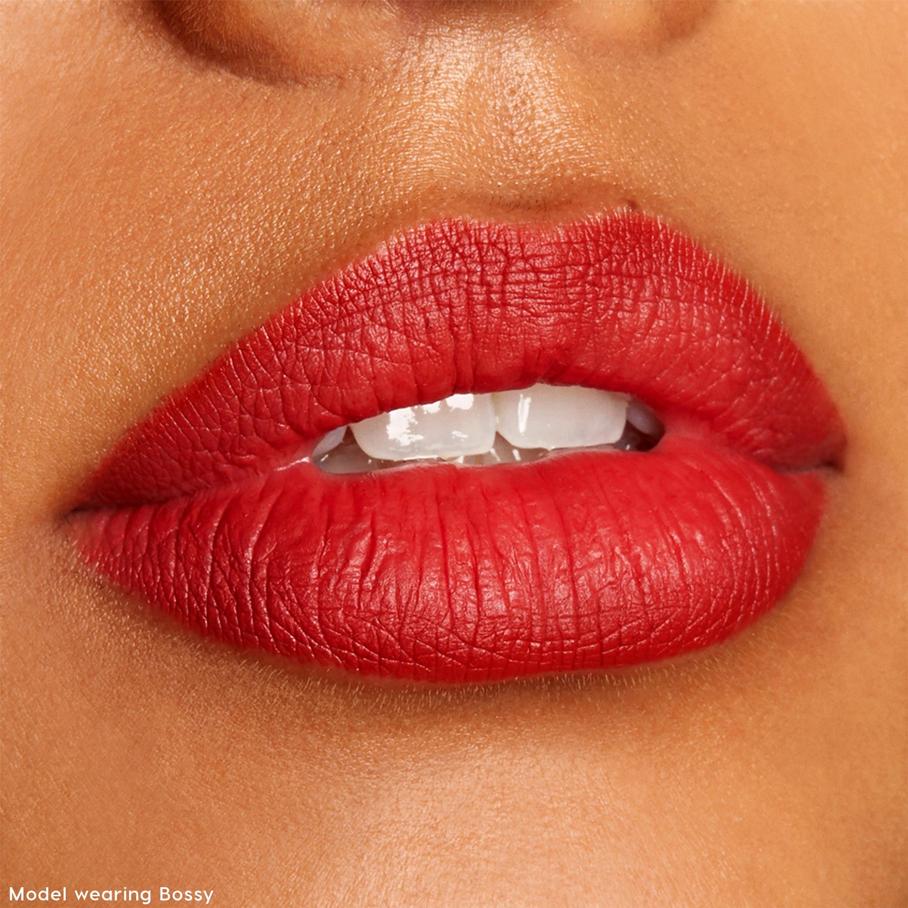 The Lil Box of Lippie Pencils - Matte Editorial Lip Tint