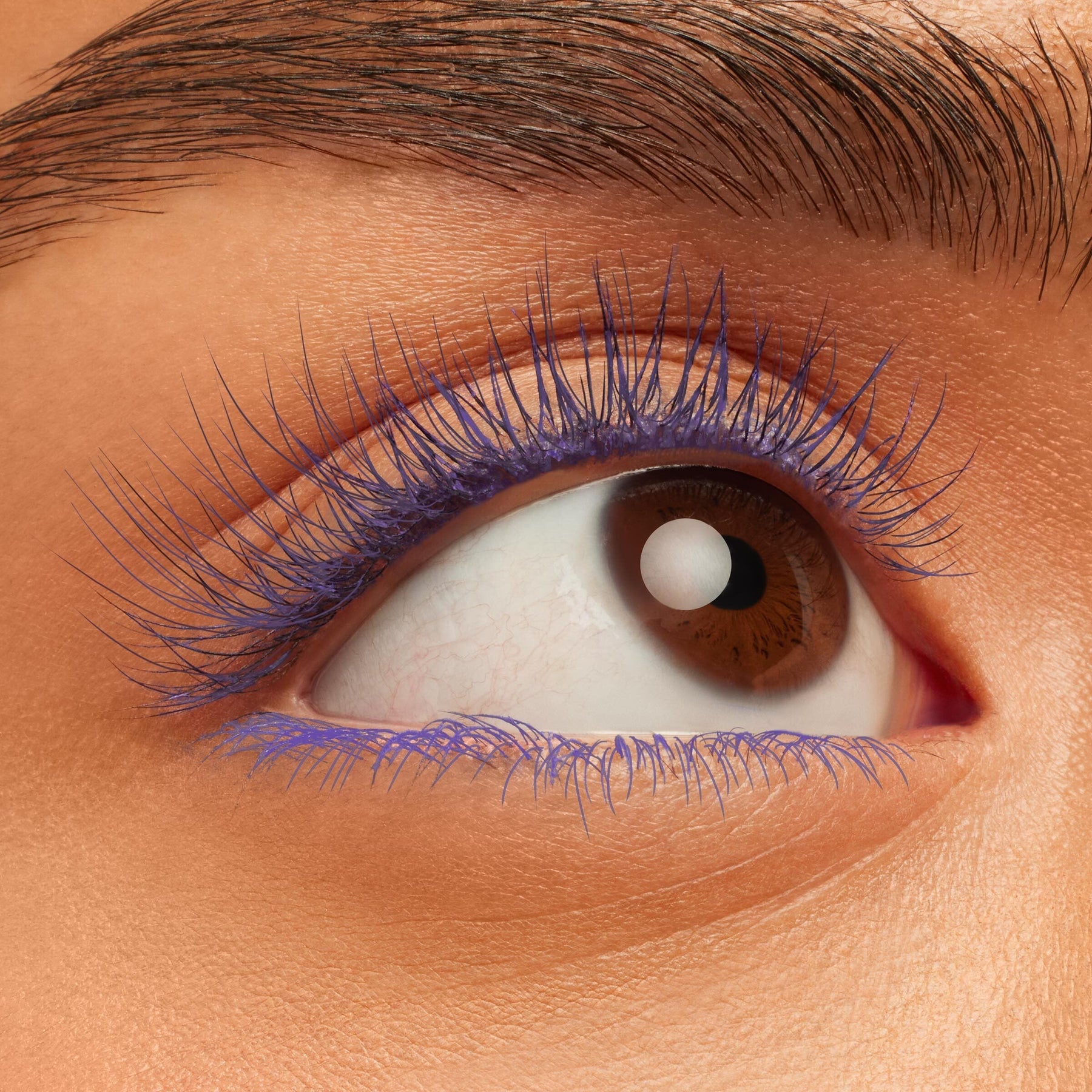 Purple Prose - Modern Classic Lash Flutter