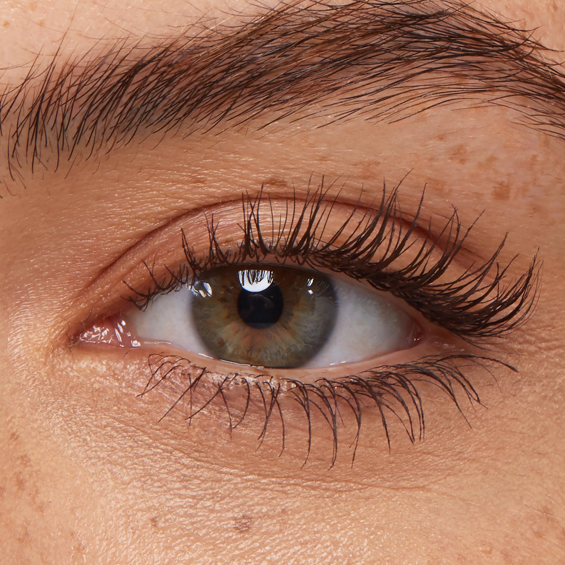Brown - Velvety Festive Lash Drama