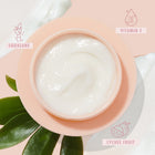 The Daily Face Cream - Replenishing Smoothing Skin Set