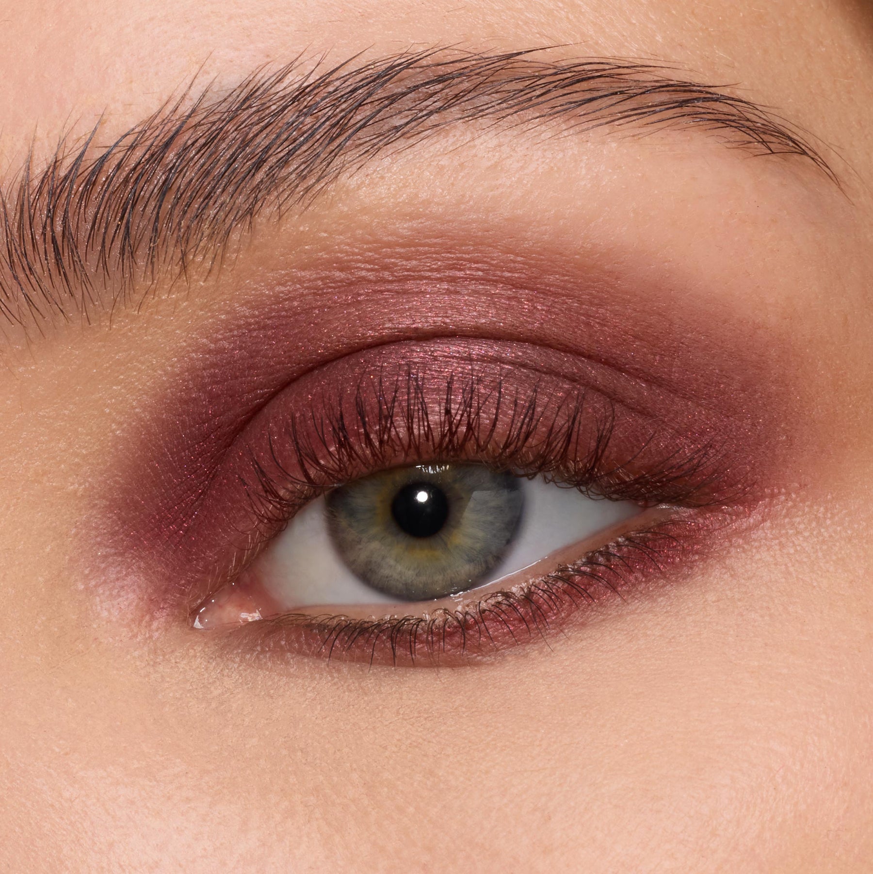 The Volturi - Pearlescent Favorite Eye Kit