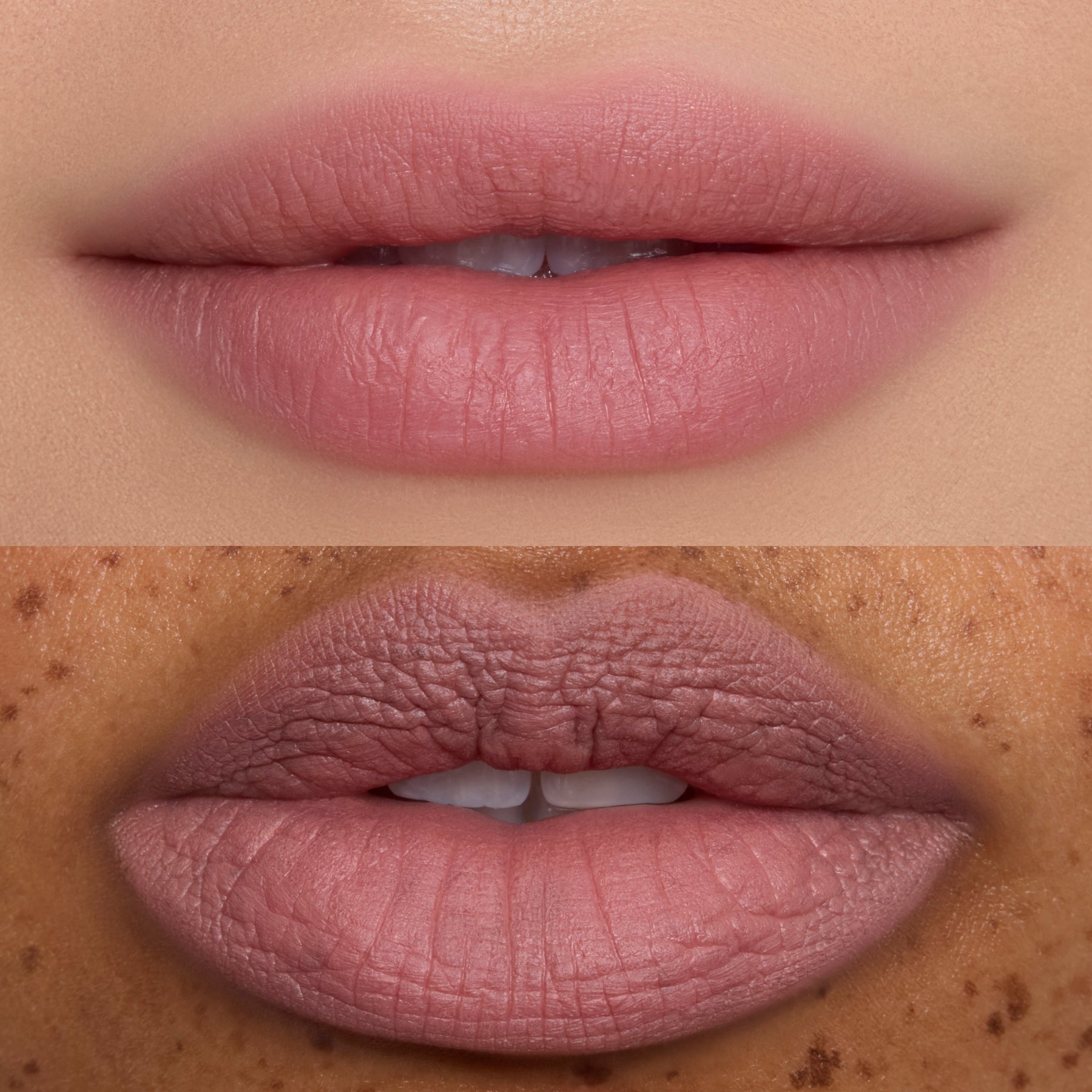 Petal Cloud - Elegant Beauty-Ready Beauty Discovery